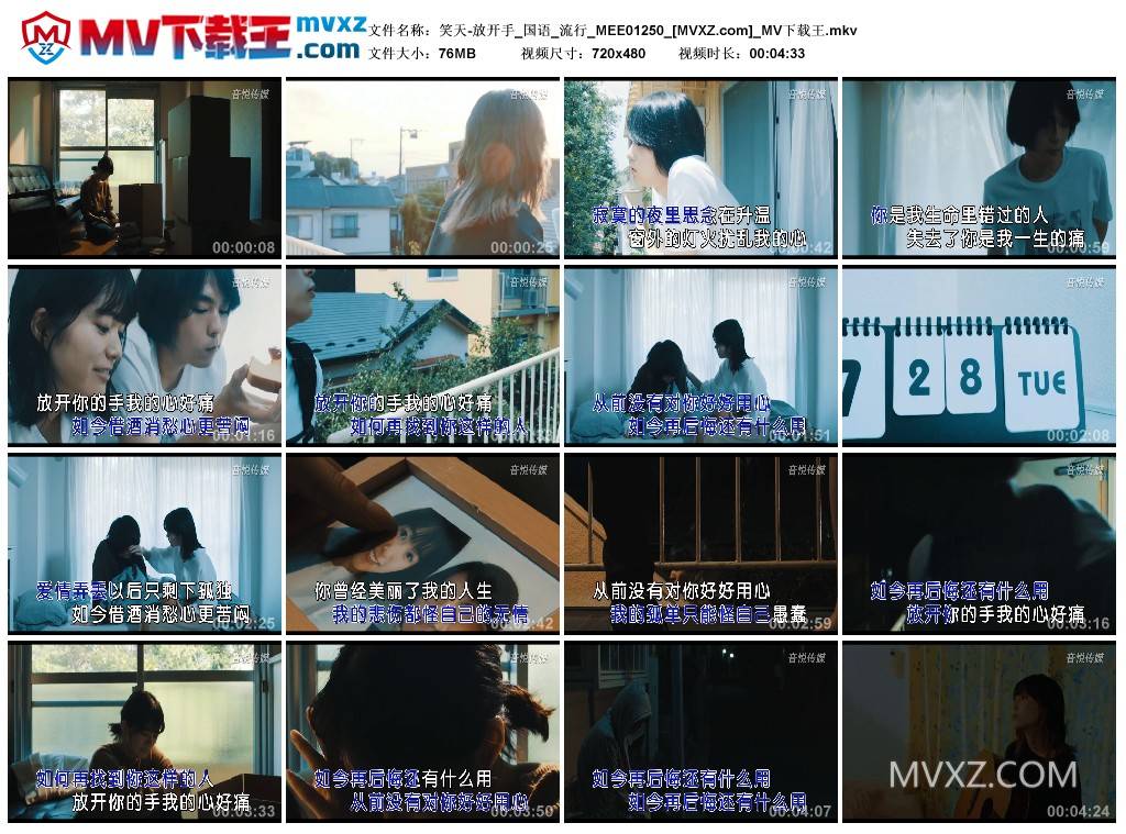 笑天-放开手_国语_流行_MEE01250